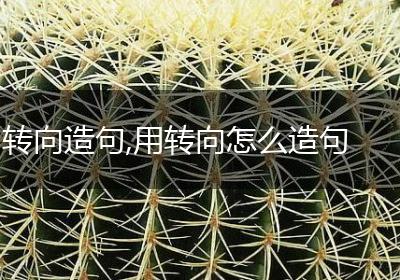 转向造句,用转向怎么造句