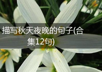 描写秋天夜晚的句子(合集12句)