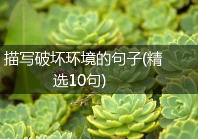 描写破坏环境的句子(精选10句)