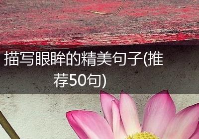 描写眼眸的精美句子(推荐50句)