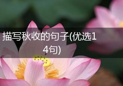描写秋收的句子(优选14句)