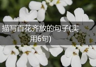 描写百花齐放的句子(实用6句)