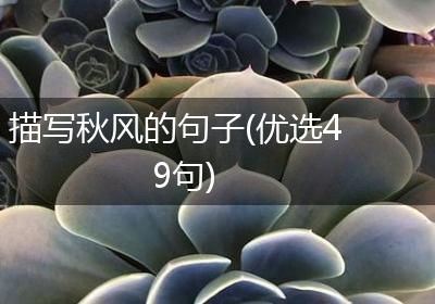 描写秋风的句子(优选49句)