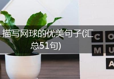 描写网球的优美句子(汇总51句)