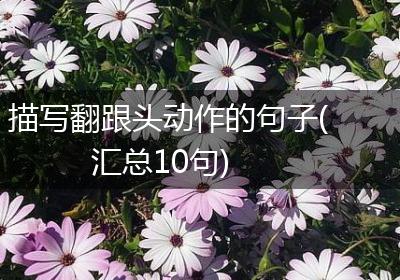 描写翻跟头动作的句子(汇总10句)