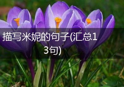 描写米妮的句子(汇总13句)