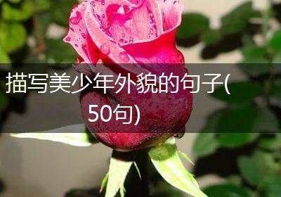 描写美少年外貌的句子(50句)