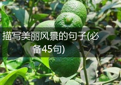 描写美丽风景的句子(必备45句)