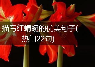 描写红蜻蜓的优美句子(热门22句)