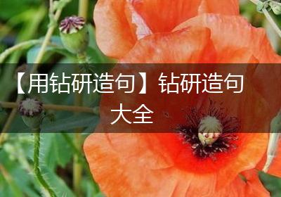 【用钻研造句】钻研造句大全
