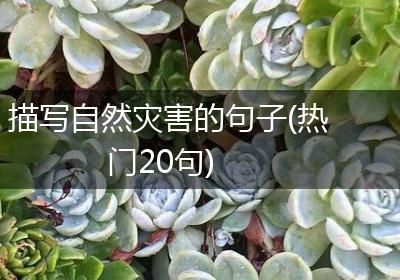 描写自然灾害的句子(热门20句)