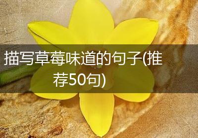 描写草莓味道的句子(推荐50句)