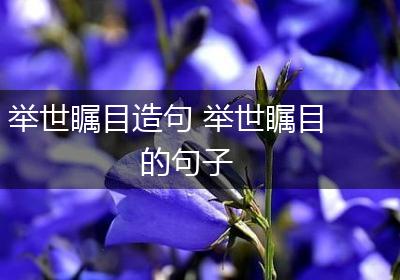 举世瞩目造句 举世瞩目的句子