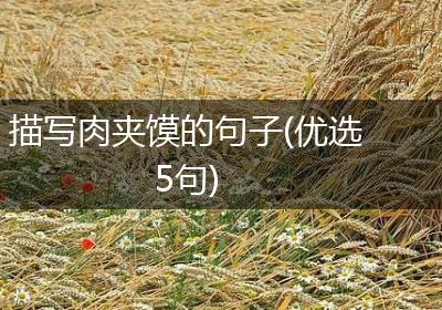 描写肉夹馍的句子(优选5句)