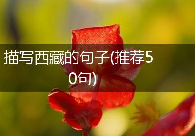 描写西藏的句子(推荐50句)