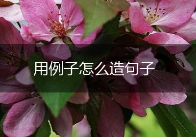 用例子怎么造句子