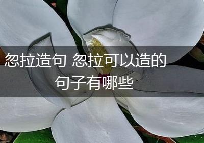 忽拉造句 忽拉可以造的句子有哪些