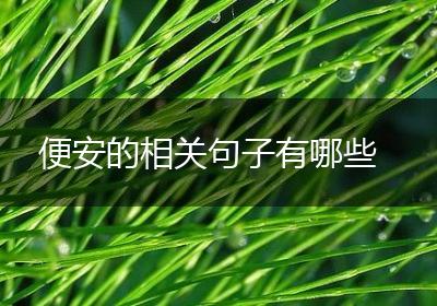 便安的相关句子有哪些