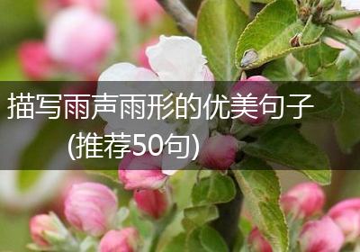 描写雨声雨形的优美句子(推荐50句)