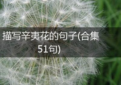 描写辛夷花的句子(合集51句)