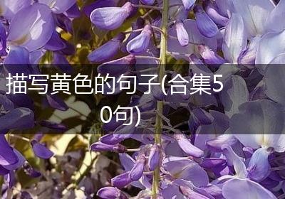 描写黄色的句子(合集50句)