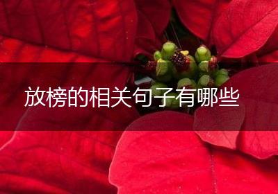 放榜的相关句子有哪些