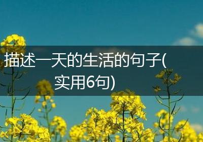 描述一天的生活的句子(实用6句)