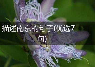 描述南京的句子(优选7句)