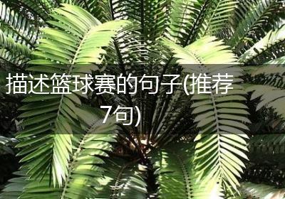 描述篮球赛的句子(推荐7句)