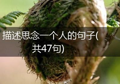 描述思念一个人的句子(共47句)