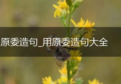 原委造句_用原委造句大全