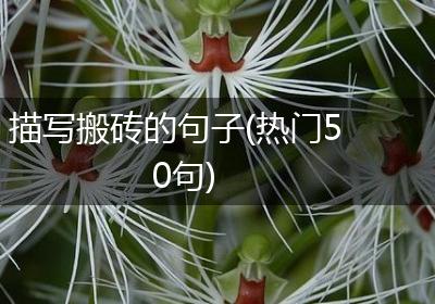 描写搬砖的句子(热门50句)