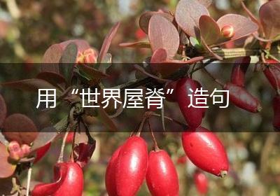 用“世界屋脊”造句