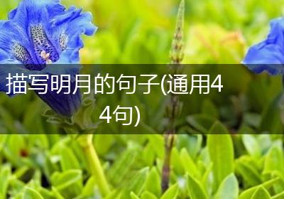 描写明月的句子(通用44句)
