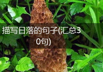 描写日落的句子(汇总30句)