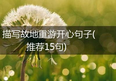 描写故地重游开心句子(推荐15句)