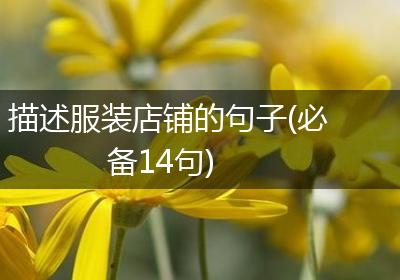 描述服装店铺的句子(必备14句)
