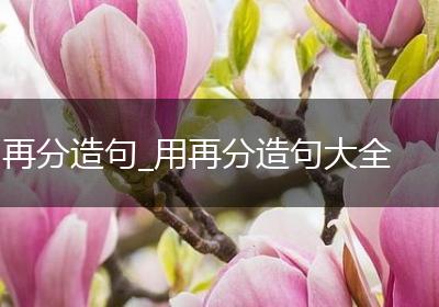 再分造句_用再分造句大全