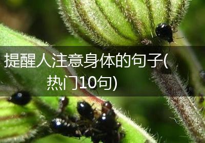 提醒人注意身体的句子(热门10句)