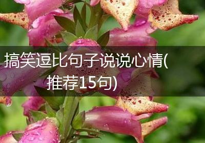 搞笑逗比句子说说心情(推荐15句)