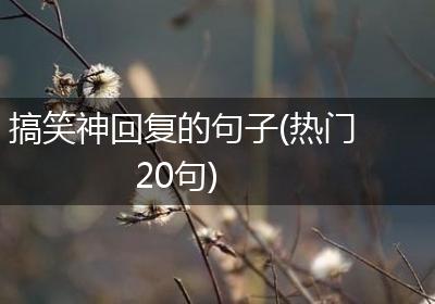 搞笑神回复的句子(热门20句)