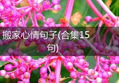 搬家心情句子(合集15句)