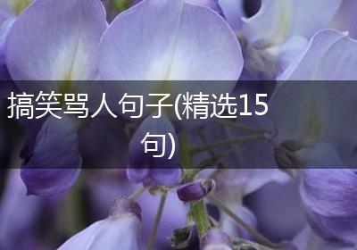 搞笑骂人句子(精选15句)