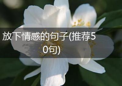 放下情感的句子(推荐50句)