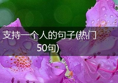 支持一个人的句子(热门50句)