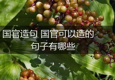 国官造句 国官可以造的句子有哪些
