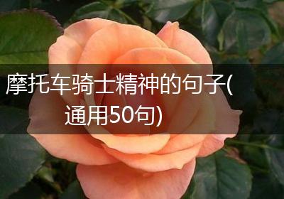 摩托车骑士精神的句子(通用50句)