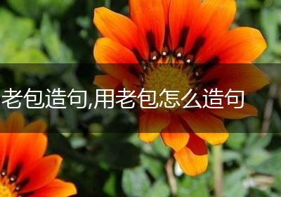 老包造句,用老包怎么造句