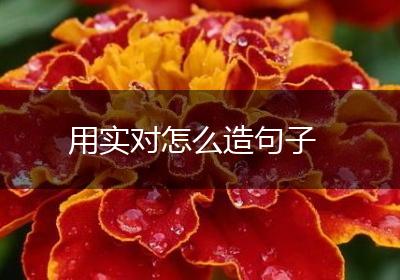 用实对怎么造句子