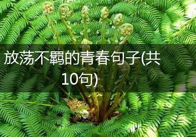 放荡不羁的青春句子(共10句)